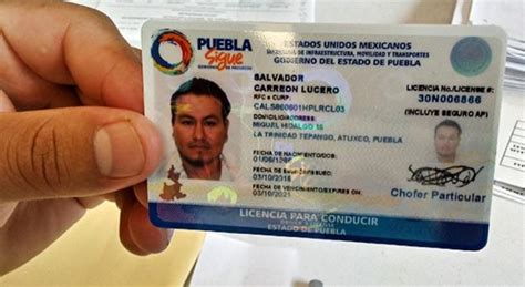 tipos de licencias de conducir puebla|Tipos De Licencia De Conducir Puebla • TIPOSDE